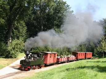 Waldeisenbahn Muskau