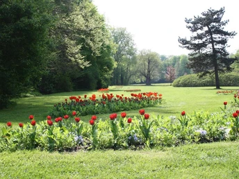 Blütenpracht im Fürst-Pückler-Park, Bad Muskau