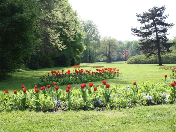 Blütenpracht im Fürst-Pückler-Park, Bad Muskau
