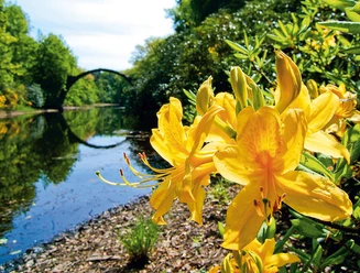 Rakotzbrücke im Kromlauer Park