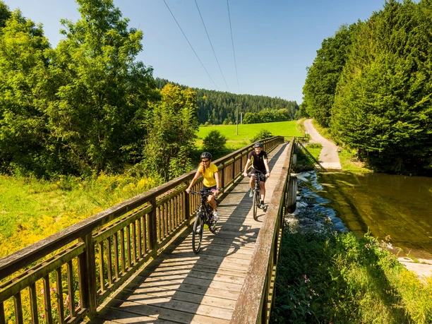 Elsterradweg an der Bretmühle