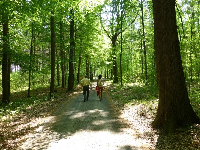 Wandern im Colditzer Forst