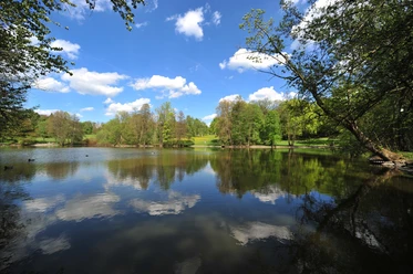 Stadtpark mit Teich