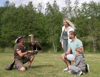 Falknerei Herrmann - Familie