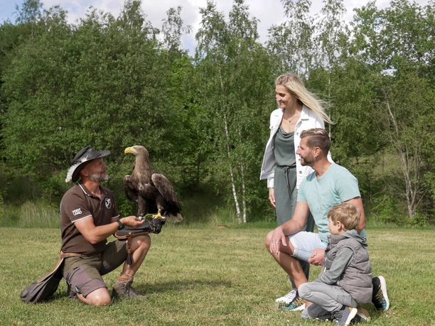 Falknerei Herrmann - Familie