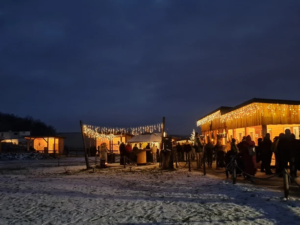 Nacht der Eulen in der Falknerei Herrmann