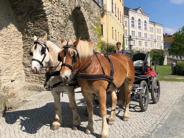 Kutschfahrten durch das fürstlich vogtländische Greiz