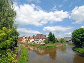 Eilenburg, Mühlinsel