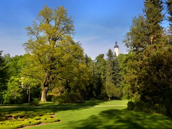 Blick vom Greizer Park zum Oberen Schloss