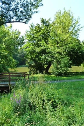 Parthe-Wanderweg bei Taucha
