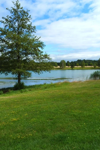 Blick auf den Albrechtshainer See © TVLN