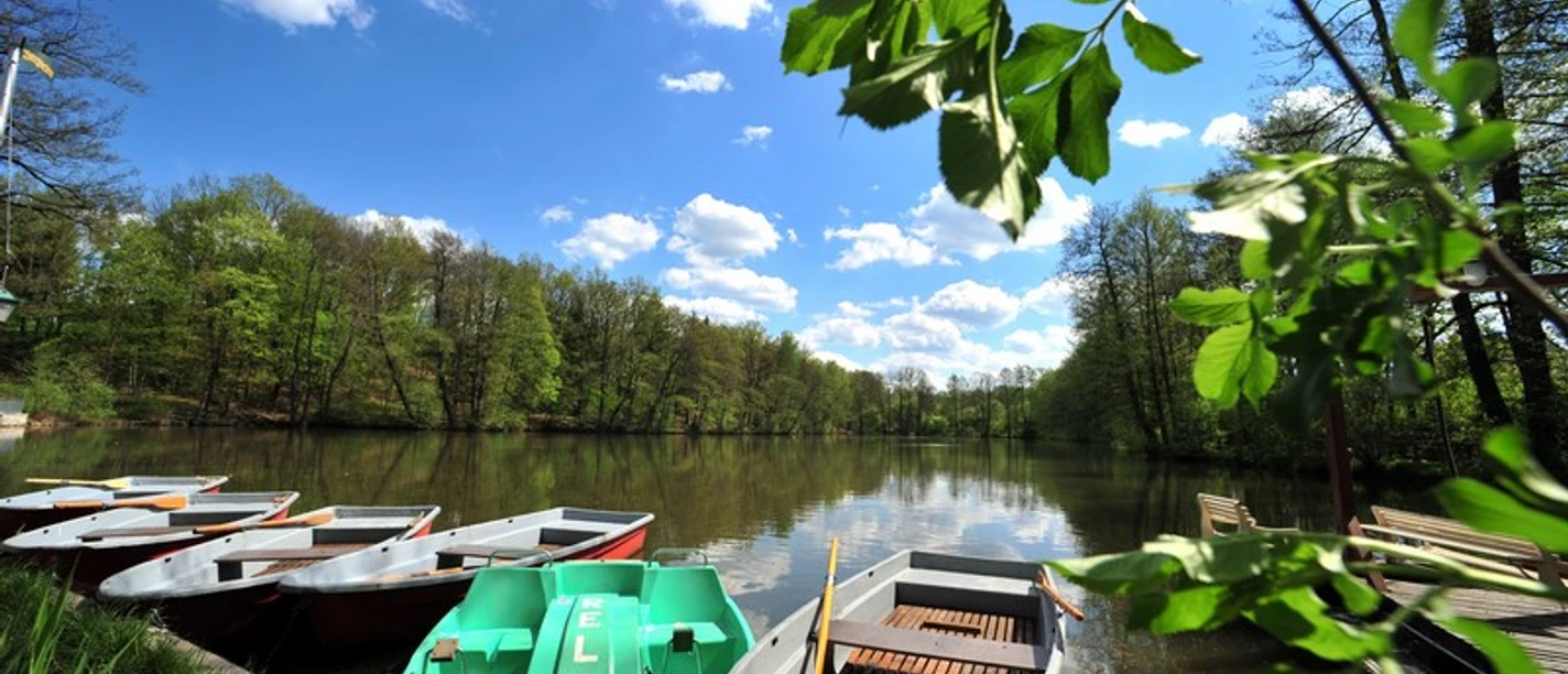 Gondelteich Kleinfriesen bei Plauen