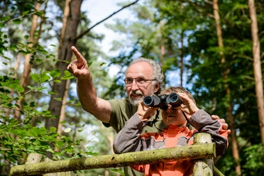 Naturbeobachtungen in der Dahlener Heide