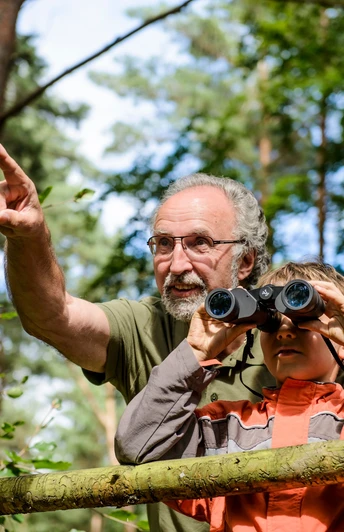 Naturbeobachtungen in der Dahlener Heide