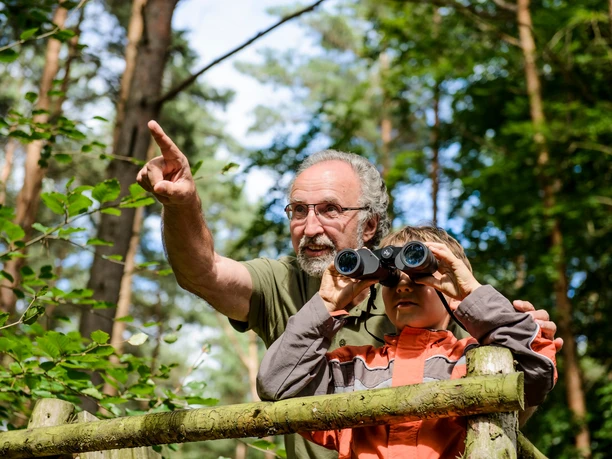 Naturbeobachtungen in der Dahlener Heide