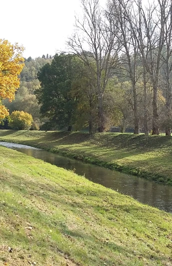 Elstertal bei Straßberg