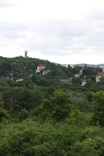 Ausblick vom Birkenhübel
