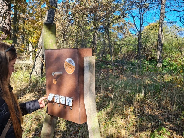 Pfaffengut Plauen Wildkatzensprung