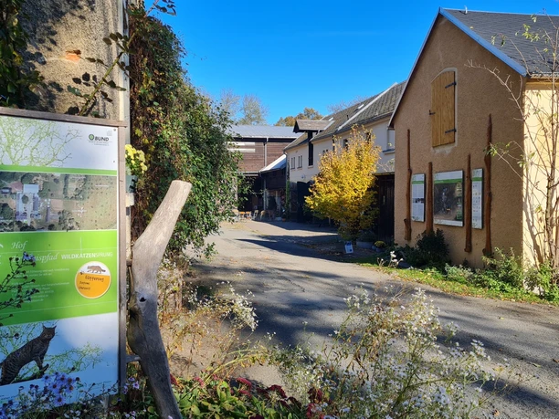 Pfaffengut Plauen Wildkatzensprung