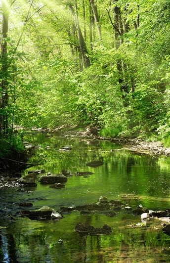 Im Triebtal bei Jocketa ©S.Theilig