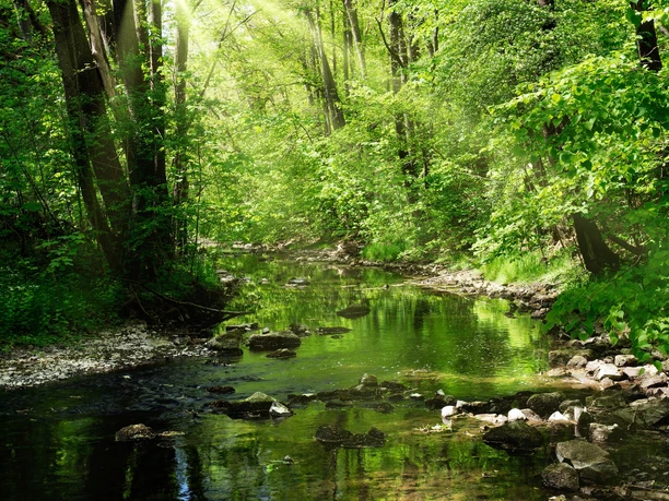 Im Triebtal bei Jocketa ©S.Theilig