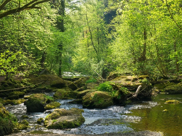 Im Triebtal bei Jocketa / Vogtländische Schweiz
