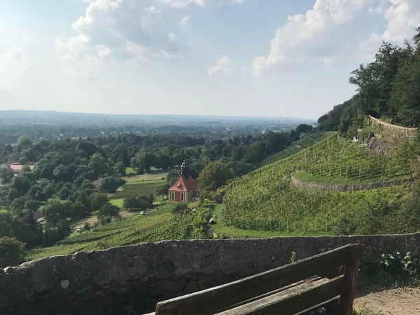 In den Pillnitzer Weinbergen