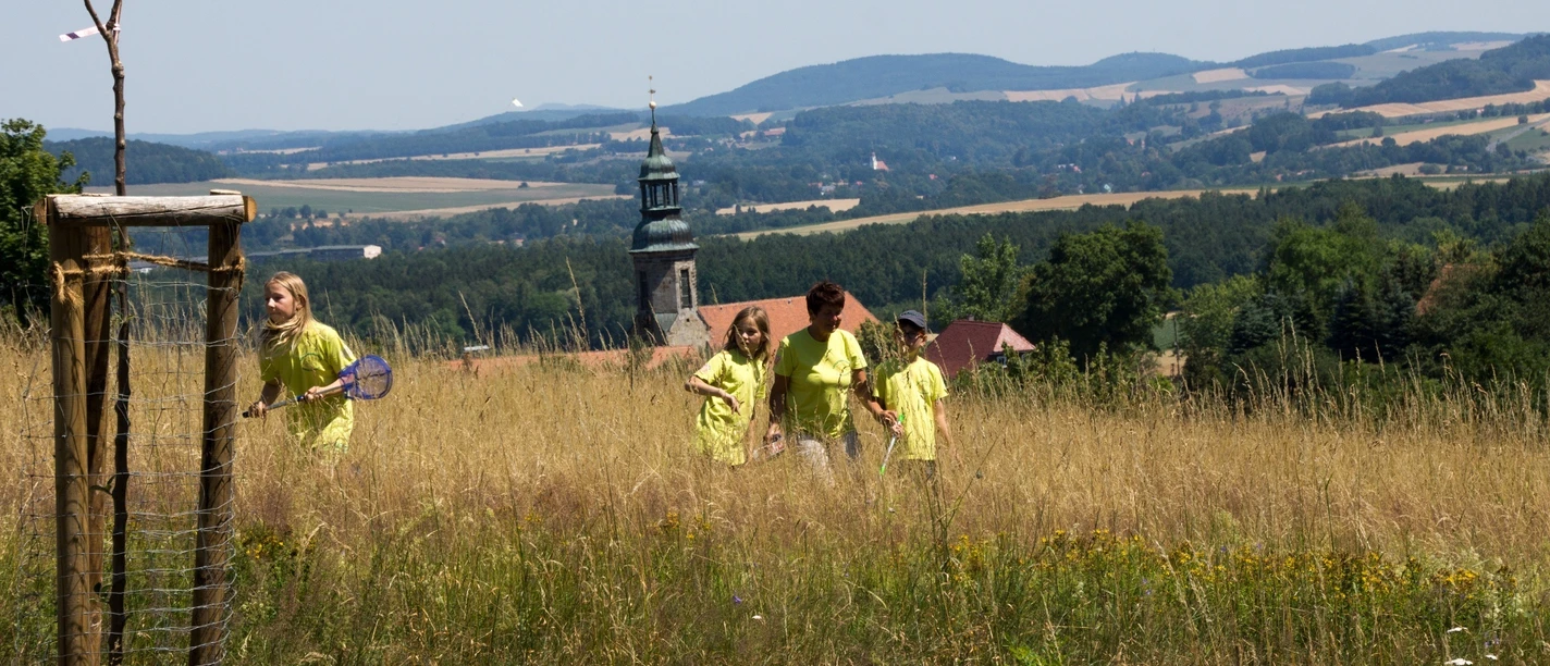 Kinder der Naturparkkindergruppe auf Insektensafari