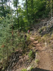 Hangweg entlang der Elbe