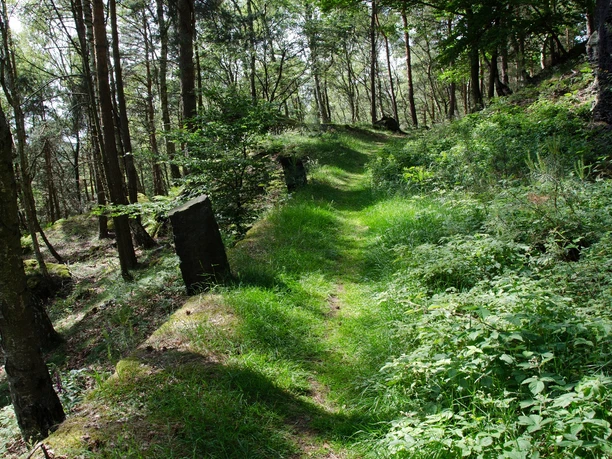 Abstieg vom Zschirnstein