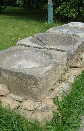 Griebenherde in Reumtengrün