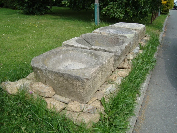 Griebenherde in Reumtengrün