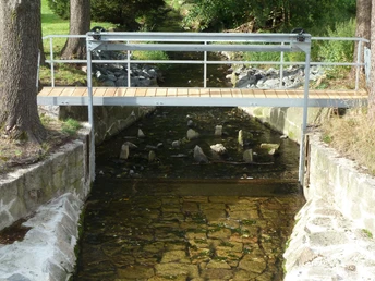 Landschaft in Reumtengrün bei Auerbach / Vogtland