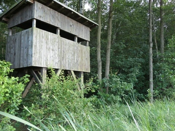 Vogelbeobachtungskanzel am Frauenteich