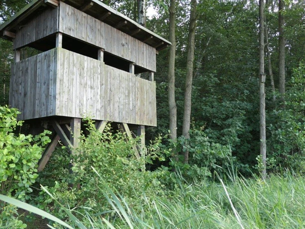 Vogelbeobachtungskanzel am Frauenteich