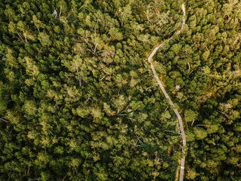 Georgenfelder Hochmoor, Luftaufnahme