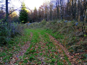 Historische Bobbahn Geising