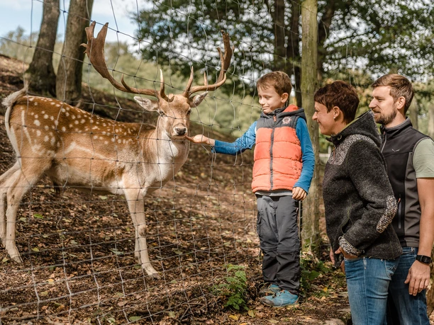 Wildpark Osterzgebirge
