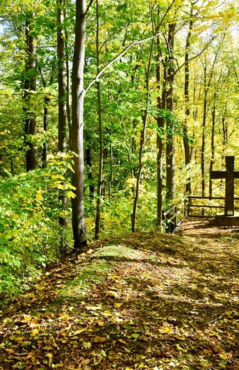 Steinernes Kreuz bei Reichenfels