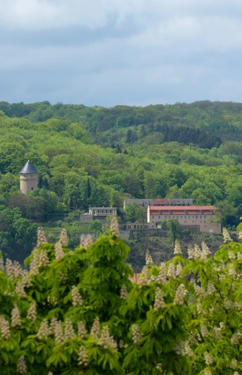 Blick auf das ehemalige Schloss Osterstein