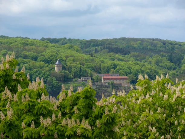 Blick auf das ehemalige Schloss Osterstein