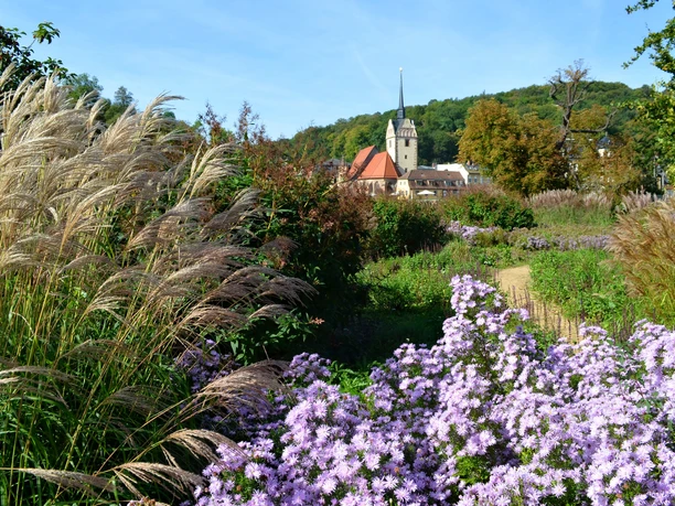 Blick vom Hofwiesenpark zur Kirche