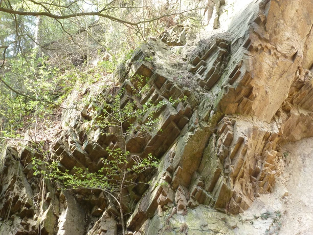 säulenförmige Ausbildung