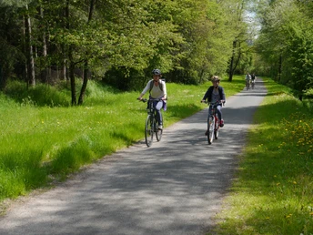 Radweg auf der ehemaligen Kleinbahntrasse in Freital (Edgar-Rudolf-Weg)