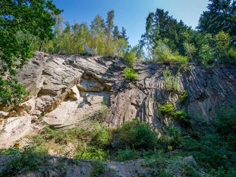 Porphyrfächer Mohorn-Grund