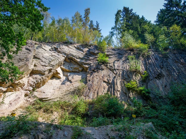 Porphyrfächer Mohorn-Grund