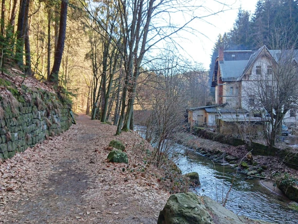 Im Polenztal gegenüber der Waltersdorfer Mühle Im Polenztal gegenüber der Waltersdorfer Mühle