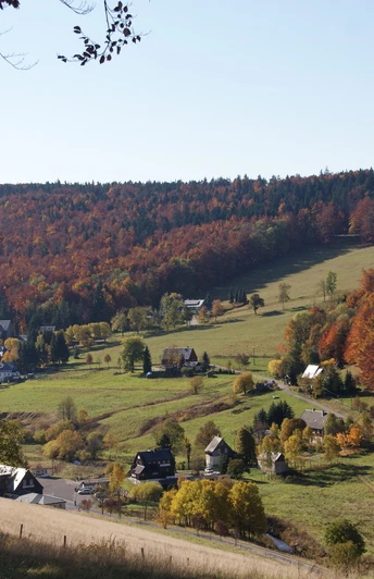 Rehefeld-Zaunhaus im Herbst