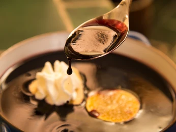 Holundersuppe Naturhotel Gasthof Bärenfels