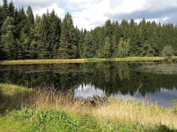 Großer Hirschteich bei Albertsberg Großer Hirschteich bei Albertsberg